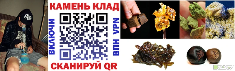 ГАШ Premium  Циолковский 