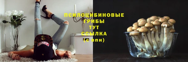 дмт Покров