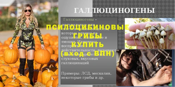 дмт Покров