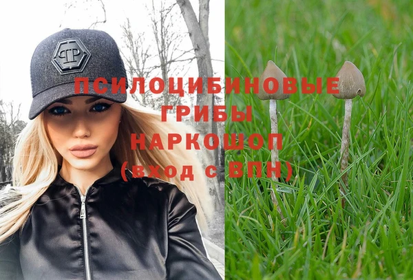 спайс Покровск