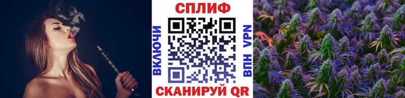 как найти закладки  мега как зайти  Марихуана Bruce Banner  Циолковский 